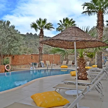 Oscar Bed & Breakfast 2*