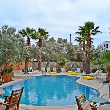 Oscar Bed & Breakfast 2*